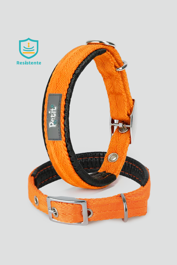 Collar Chevron. Productos para Perros y Gatos.