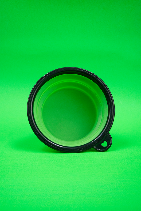 Plato Plegable Verde