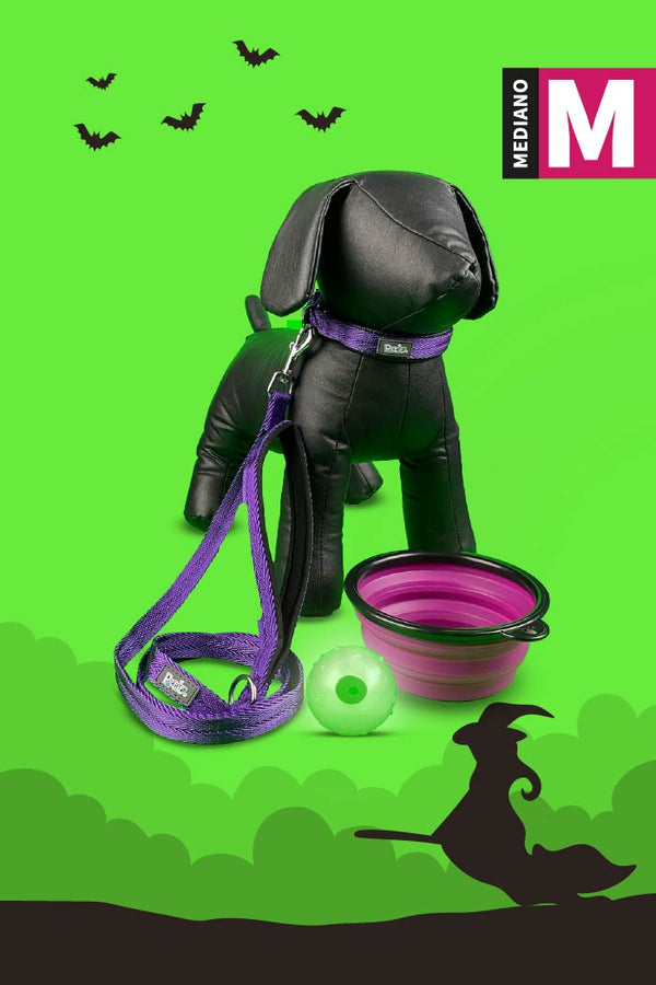 Kit de Halloween Bruja o Mago Para Perro Mediano