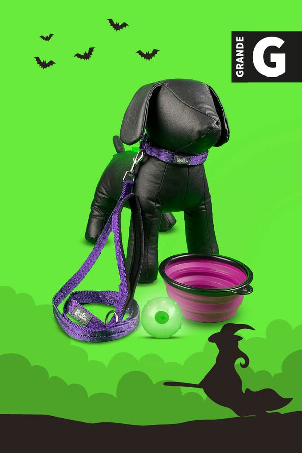 Kit de Halloween Bruja o Mago Para Perro Grande