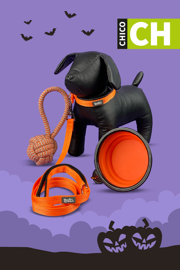 Kit de Halloween Calabaza Para Perro Chico
