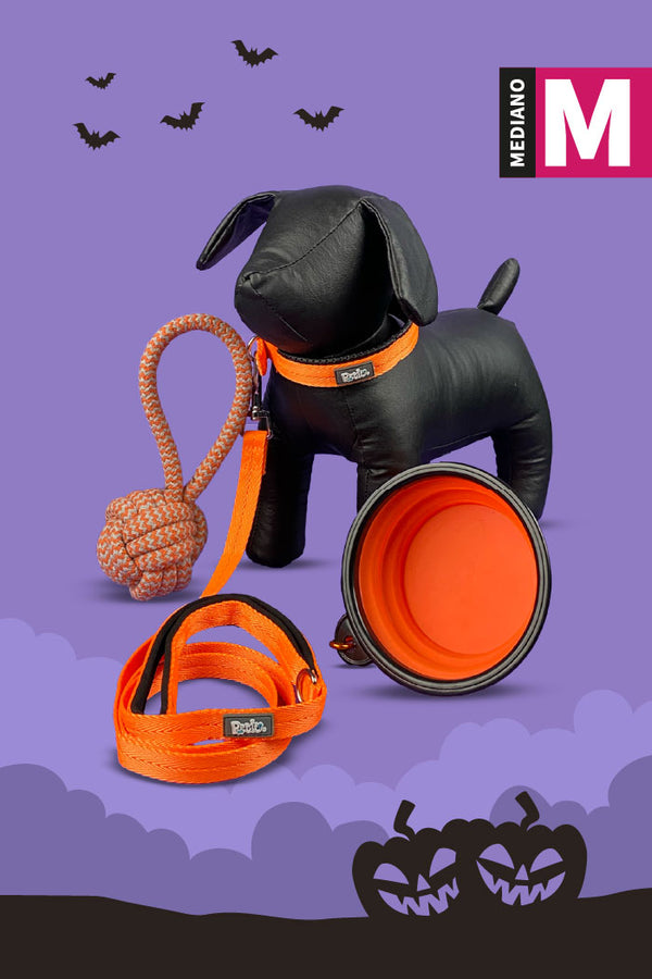 Kit de Halloween Calabaza Para Perro Mediano