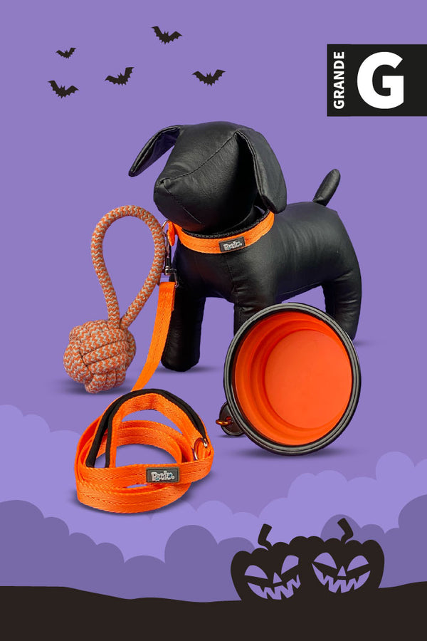 Kit de Halloween Calabaza Para Perro Grande