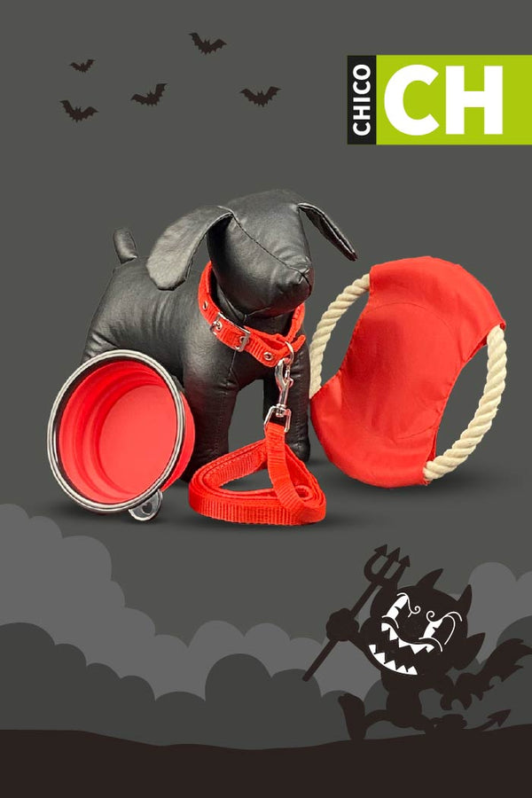 Kit de Halloween Diablito Para Perro Chico