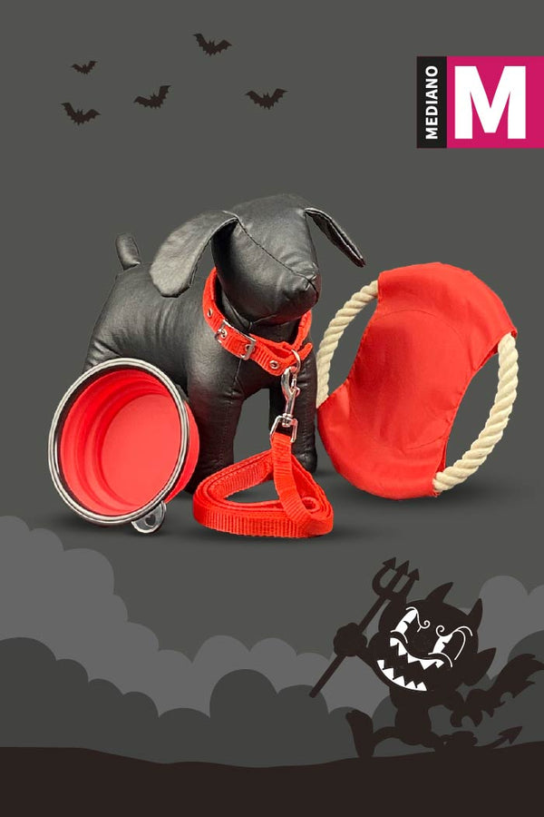Kit de Halloween Diablito Para Perro Mediano