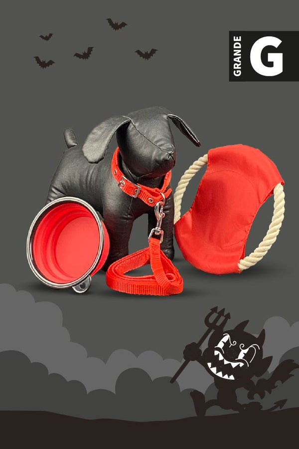 Kit de Halloween Diablito Para Perro Grande