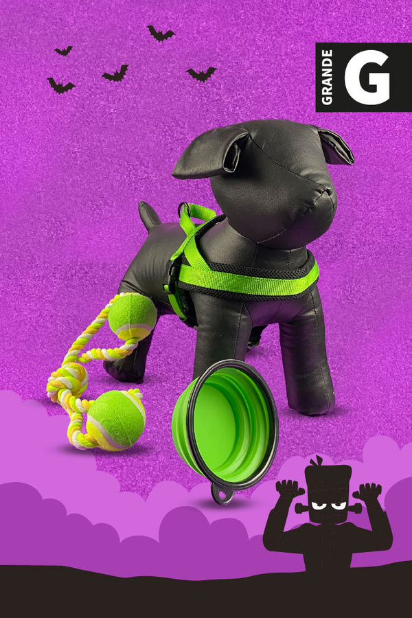 Kit De Halloween Frankie Para Perro Grande