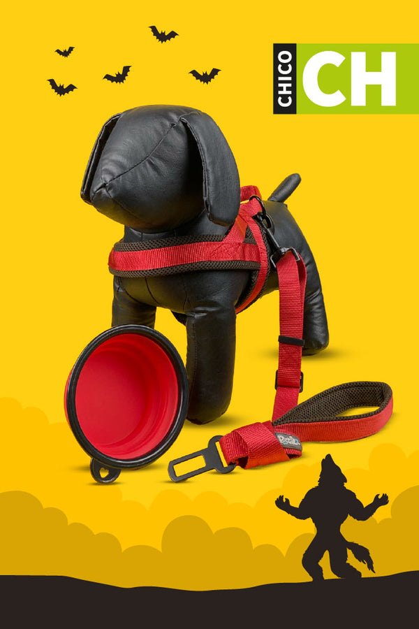 Kit de Halloween Hombre Lobo Para Perro Chico