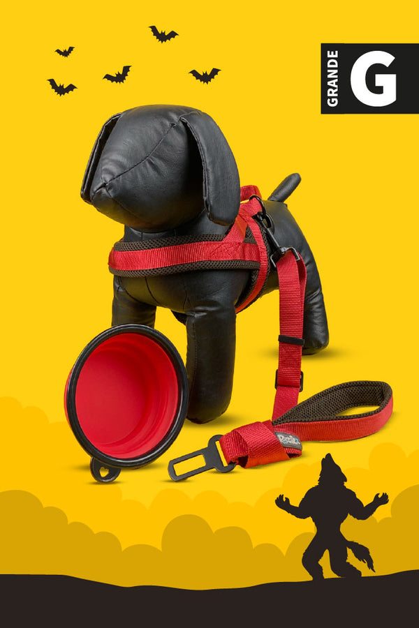 Kit de Halloween Hombre Lobo Para Perro Grande