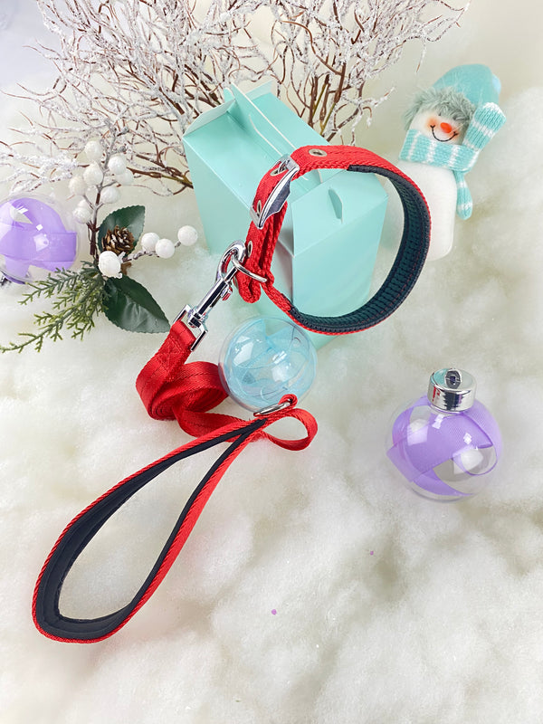 Collar y Correa Chevron