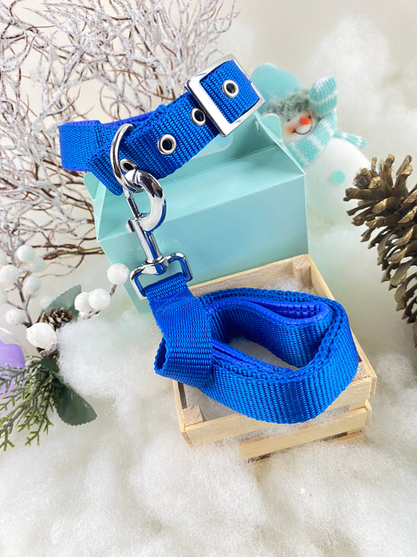 Collar y Correa Soft