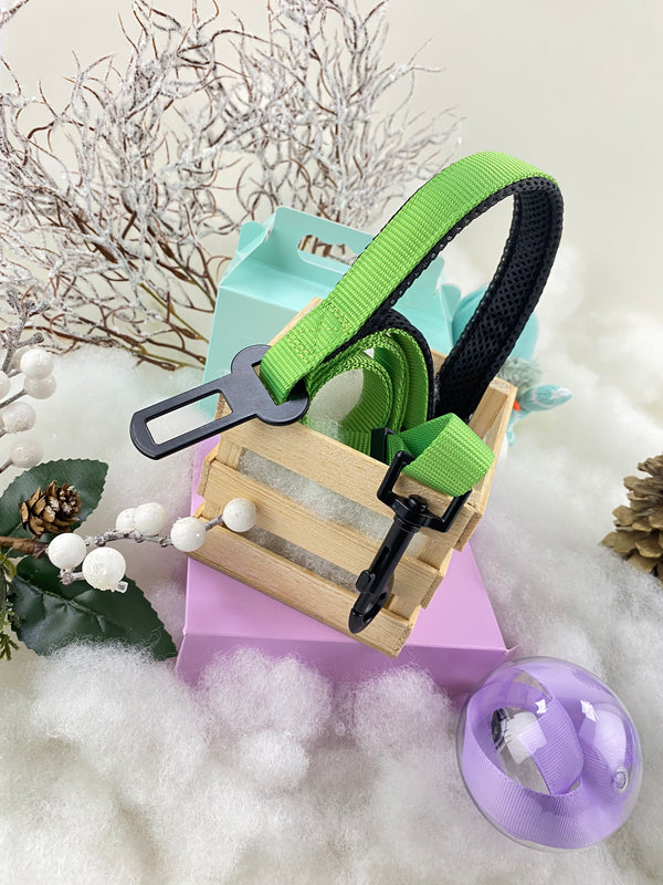 Cinturón de Seguridad Universal 2 en 1