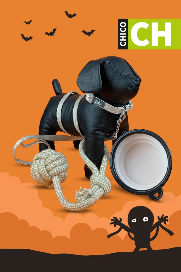 Kit de Halloween Momia Para Perro Chico