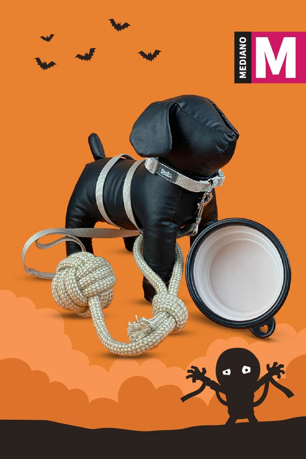 Kit de Halloween Momia Para Perro Mediano