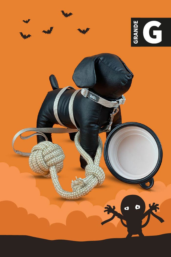 Kit de Halloween Momia Para Perro Grande
