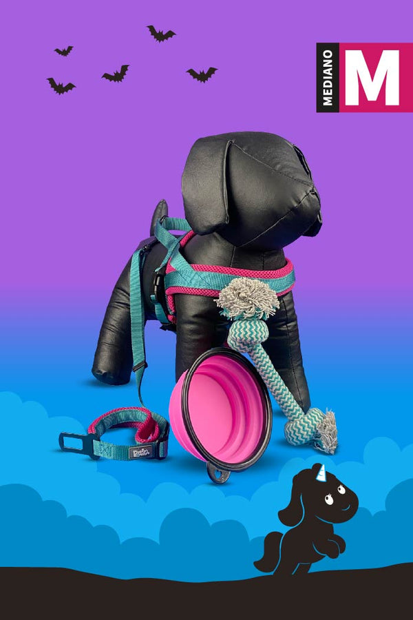 Kit de Halloween Unicornio Para Perro Mediano