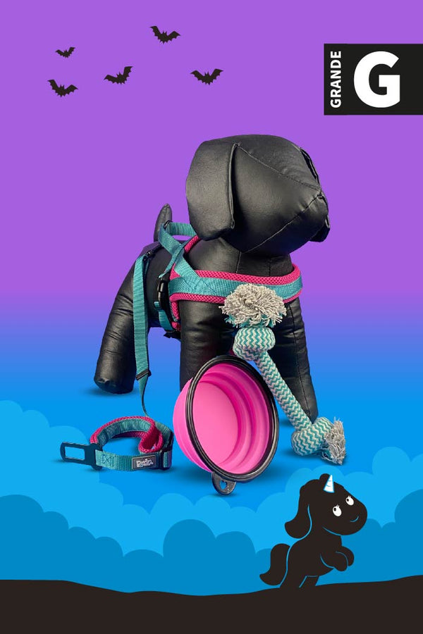 Kit de Halloween Unicornio Para Perro Grande