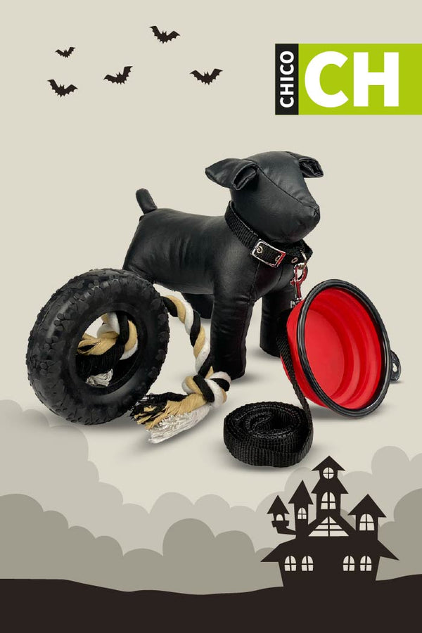 Kit de Halloween Vampiro Para Perro Chico