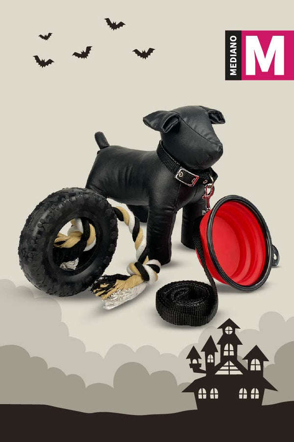 Kit de Halloween Vampiro Para Perro Mediano