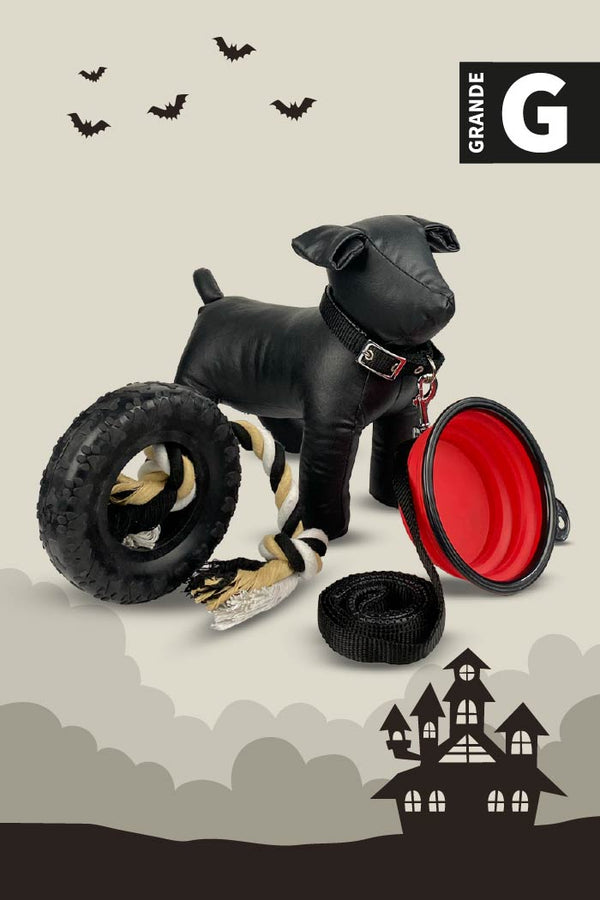Kit de Halloween Vampiro Para Perro Grande
