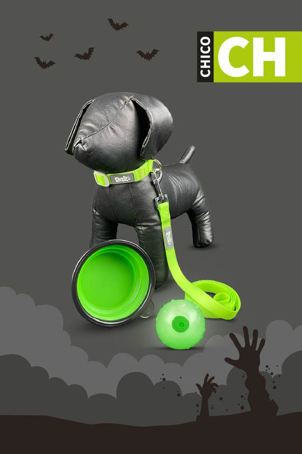 Kit de Halloween Zombie Para Perro Chico