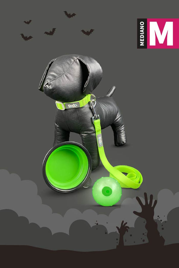Kit de Halloween Zombie Para Perro Mediano