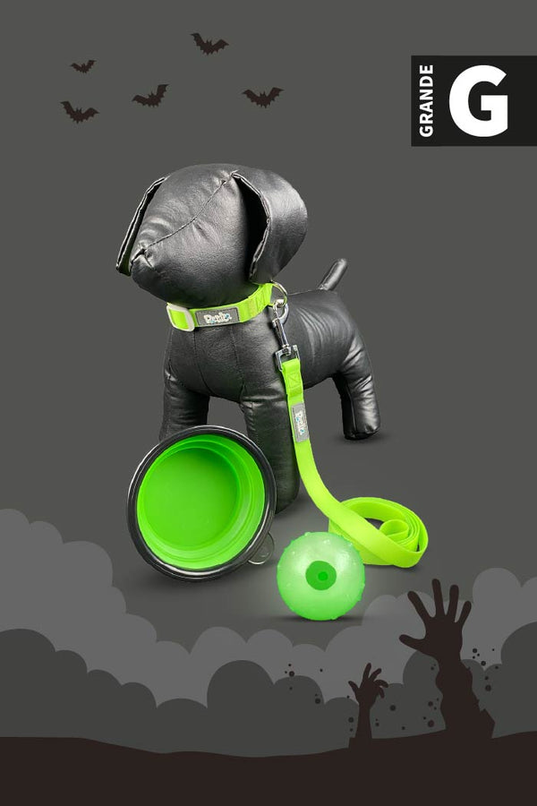 Kit de Halloween Zombie Para Perro Grande
