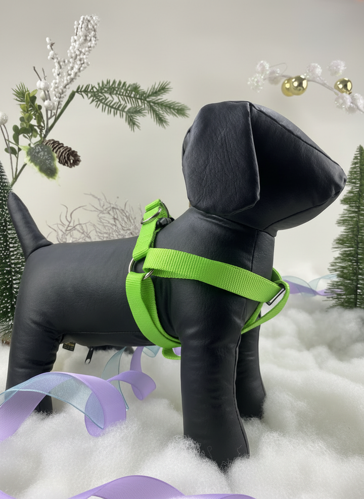 Arnés verde lima en maniquí con iluminación mejorada