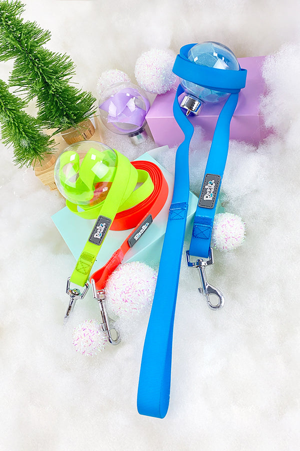 Correa Contra el Agua