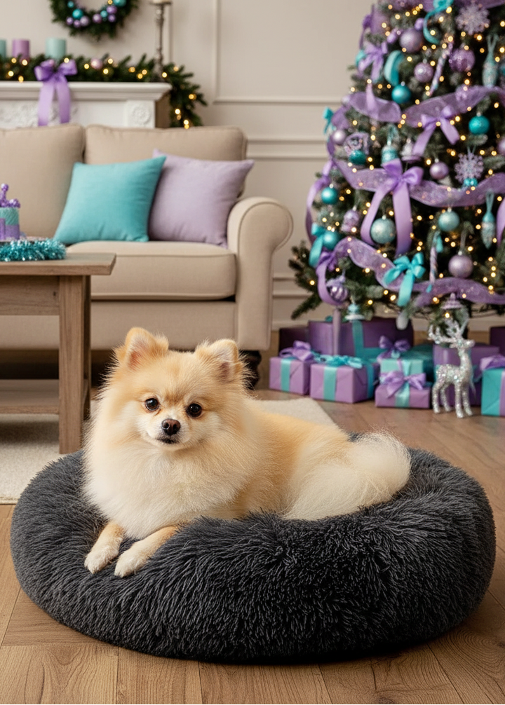 Pomerania pequeño en cama redonda gris oscuro en ambiente navideño
